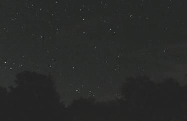 Rustic Secluded Hidden Gem At Rockhall - Photo 15