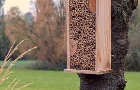 Idyllisches 2-Zimmer-Apartment - Foto 25