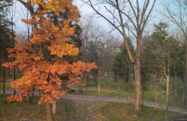 Modern, bright & calm 1 BR / 1 bath farm retreat - Photo 14