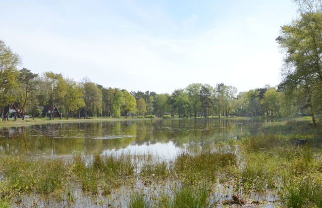 Romantic Forest Retreat With Sauna - Photo 26