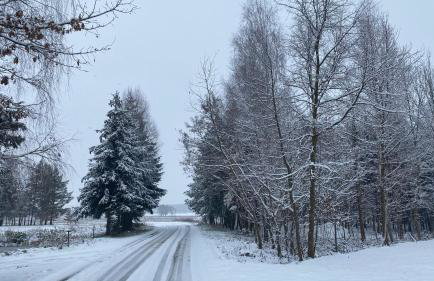 Siedlisko pod Kasztanem - Foto 43