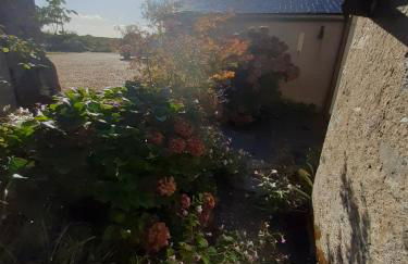 Domaine des Ortinieres - Foto 12