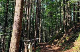 Pod Srebrzystym Świerkiem - Jacuzzi - Foto 41