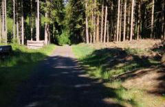 Ferienwohnung-Kiefer - Foto 21