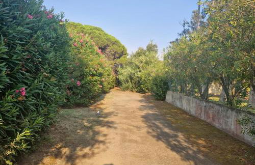 Casa Giul' Poggio Mezzana - Foto 49