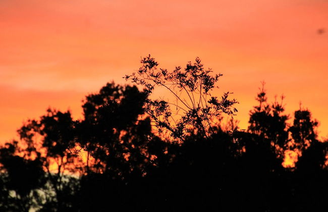 Teniqua Treetops - Foto 69