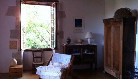 En pleine nature ! - Foto 3