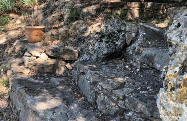 L'Olivier Fleurie Barjols - Foto 42