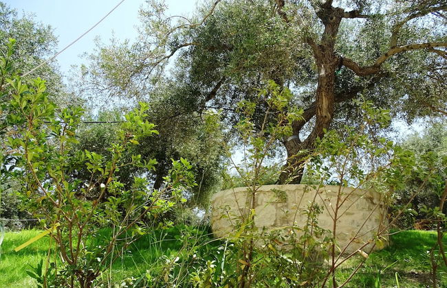 Lyrids Apartments - Photo 147