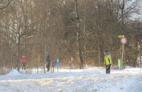 Holiday Home Caro by Interhome - Foto 25