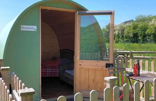 Green Dragon and Kitchen Pod - Sleeps 2 & Parking - Photo 1