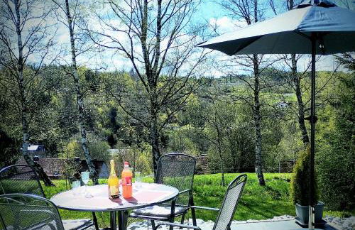 Behagliches Ferienhaus Zaunkönig -mit Kamin und Sauna- Blick über das romantische Bodetal - Foto 36