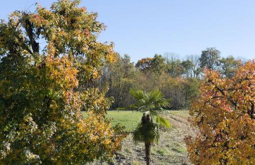 Cozy Lake House Angera - Foto 32