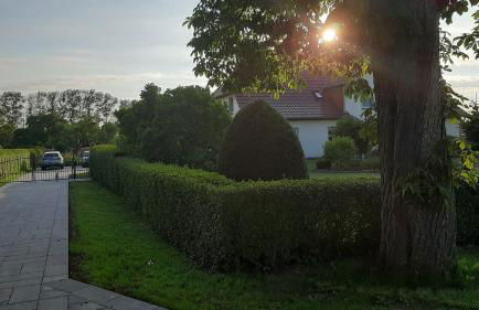 Ferienwohnung im Zanderhaus - Foto 11