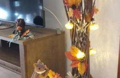 Green House - Photo 45