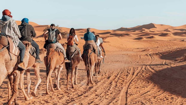 Balade à dos de chameau