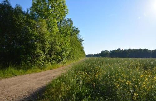Ferienappartements "Landromantik" - Foto 58