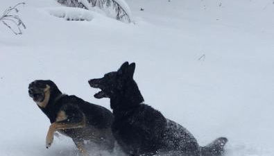 Ferienwohnung Liebscher - Foto 2