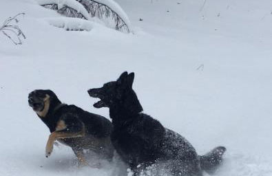 Ferienwohnung Liebscher - Foto 2