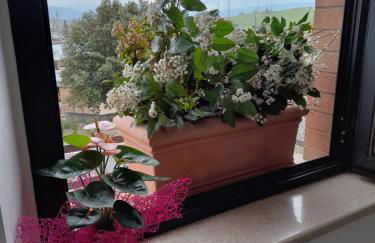 Un passo alla volta - Foto 12