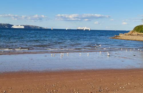 Seaspot is a 1 bed annex ground floor apartment at stunning Broadsands Beach nr Brixham! - Foto 14