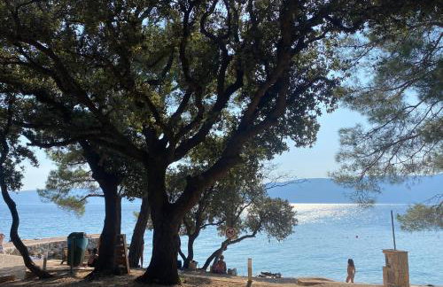 M Plus Residence - Photo 22