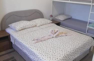 Nikini dvori - Foto 26