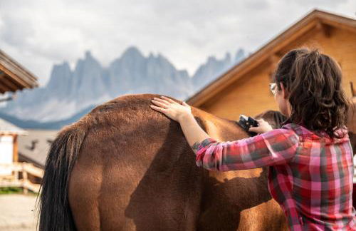 Gruberhof Coll - Photo 34