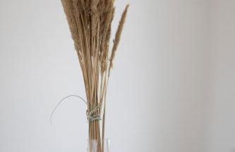 Riversmeet beach side holiday cottage - Foto 36