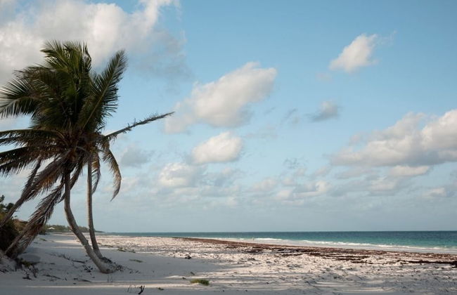 Coriolana 4 Bedroom Home - Foto 40