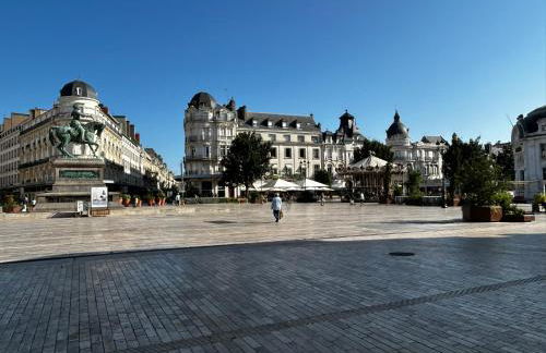 Martroi - Cœur de Ville - 3 pièces 80 m2 TV - Internet haut débit - loisirs et affaires - Foto 36