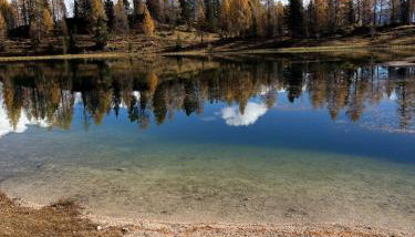 Appartamento Vale e Schena Cortina 4 posti letto - Foto 5