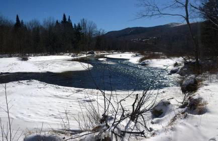 1800ML - As Seen on TV 1 mile from skiing great views hot tub fire pit beach Pool gym passes - Foto 55