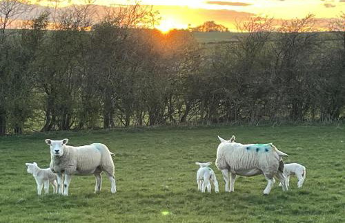 The Farmhouse - Foto 39