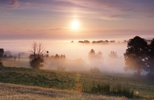 U Wileńskich - Foto 20