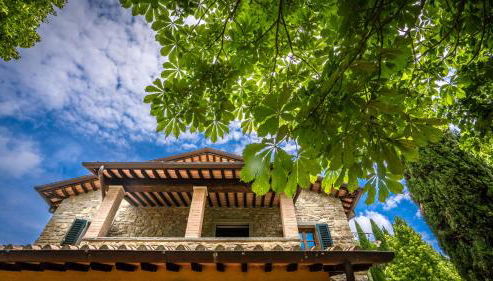 Experience the charm of Tenuta Le Caselle, a cozy farmhouse surrounded by nature and comfort! - Foto 2, Garden, Garden view