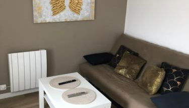 Agréable T2 au centre de Dijon - Foto 1