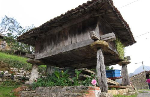 Casas Rurales Asturias Campon Antrialgo - Foto 23