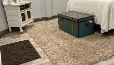 Luxurious Lower Level - Photo 3