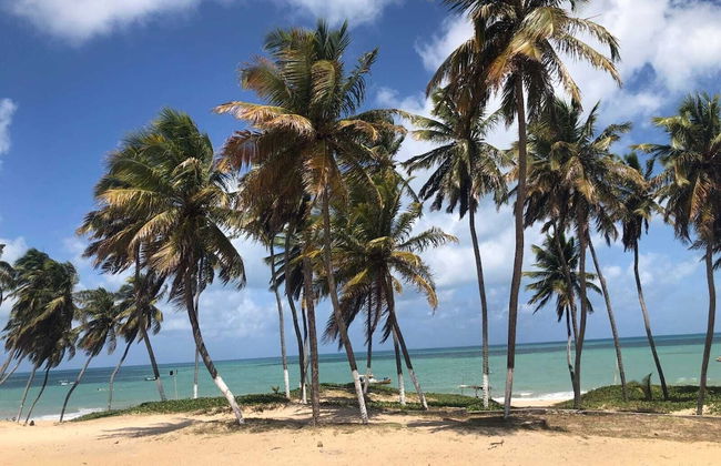 Joais do Nordeste - Foto 55