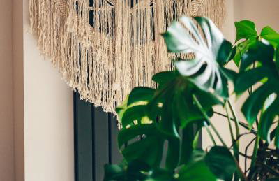 Lipolas-slowlife&guesthouse - Photo 50