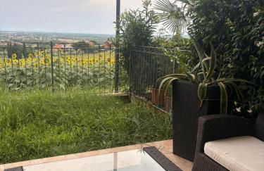 Conchiglia D'oro - Foto 6