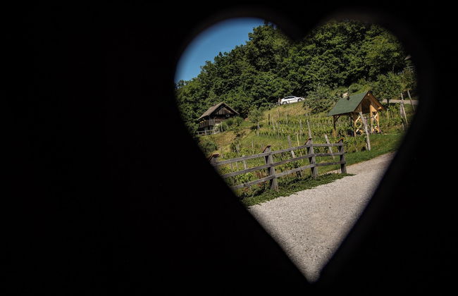 Vineyard cottage Škatlar 3 - Foto 34