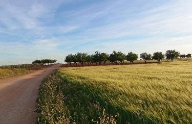 La Moreneta - Foto 27