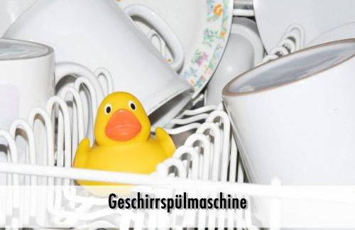 Schindelhäusle: sonniger Garten | Hunde erlaubt - Foto 50