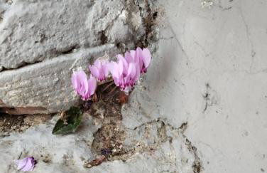 Σπίτι στο χωριό - Foto 24