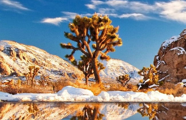 Stargaze Soak Hot Tub Fireplace Desert Views - Foto 34