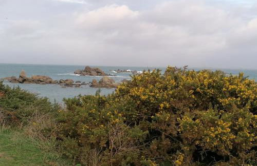 LES HAUTS VENTS - Foto 50