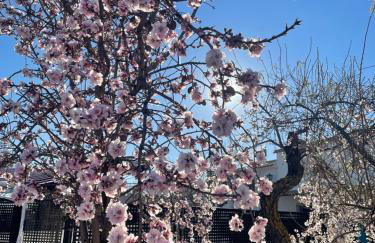 CORTIJO EL PRADO l - Foto 40