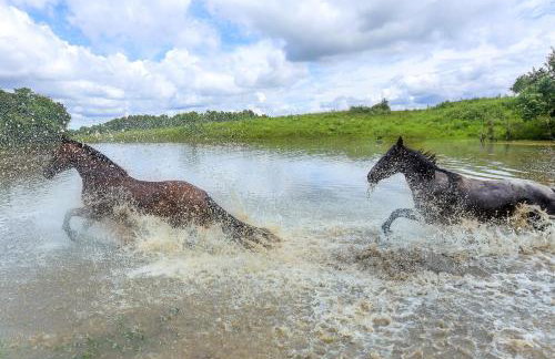Boqueirão Hotel Fazenda - Foto 51